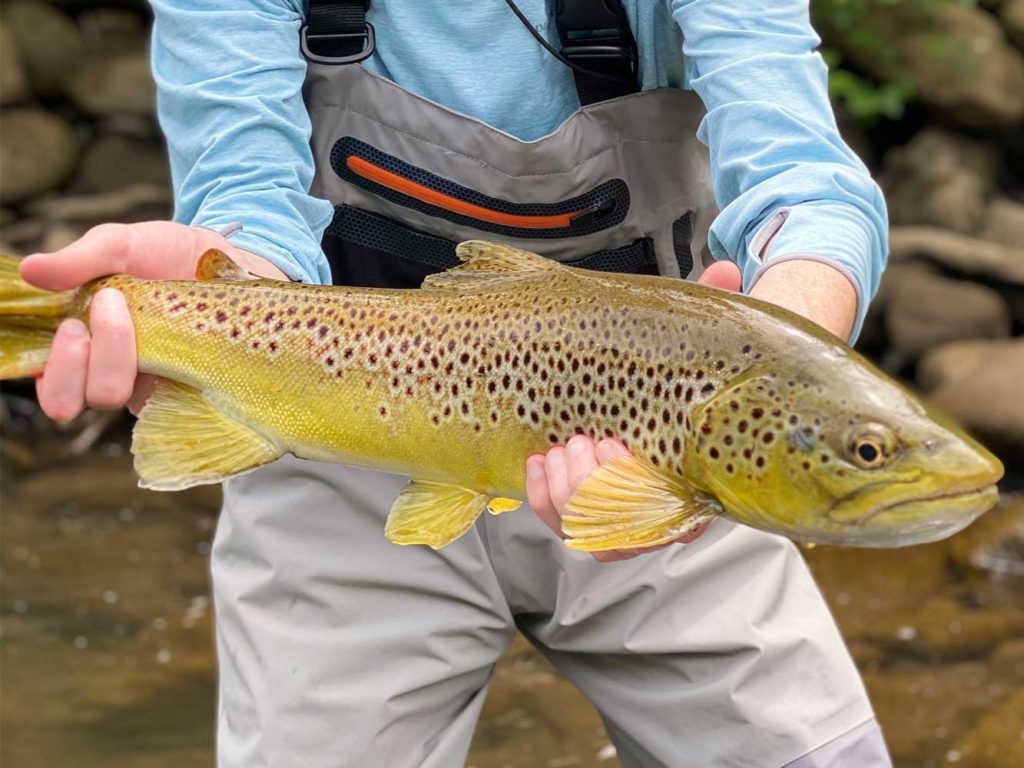 Heavy Water Anglers – Flyfishing guiding services